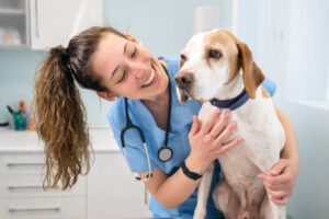 Problemas Dermatológicos e Psicológicos em Pets Causados por Produtos de Higiene